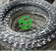 Selling hot dipped razor barbed wire for protecting