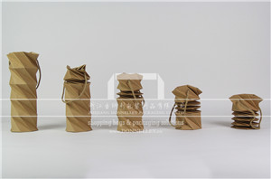 Promotional printed gift paper bag