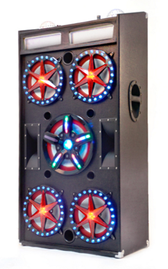 Professional Speaker 15 inches