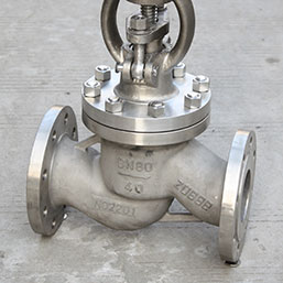 Globe Valves