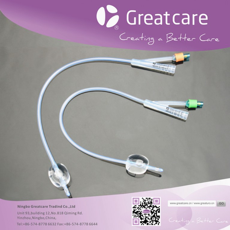 2Way All Silicone Foley Catheter (standard / plastic valve) Import