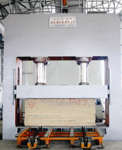 Cold Press Machine 500T