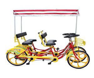 Surrey Bike | Surrey Bicycle For Sale