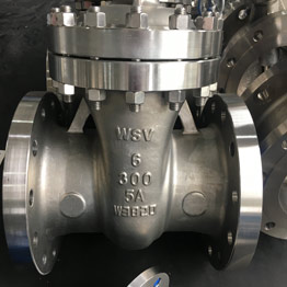 Hastelloy Gate Valves