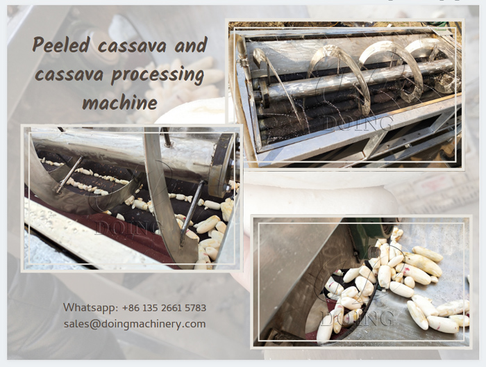 Cassava Washing and Peeling Machine for Cassava Processing