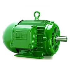 WEG Electric Motor