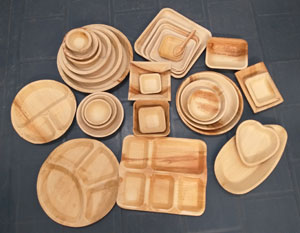 Areca leaf Plates