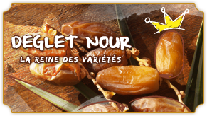Dattes Naturelles (Deglet Nour) Tunisie