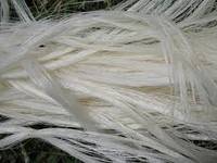 100% naturel en fibre de sisal brut