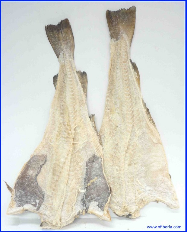 Morue Salée et Séchée Northern Fish Iberia Import Export