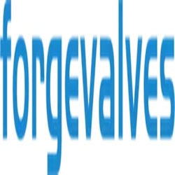 China Forged Valves Co., Ltd.