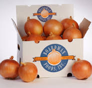 We have onion and garlic for sale - Egypt