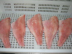 FROZEN REDFISH FILLETS