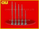 Common Rail Control Valve