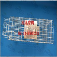 Live animal trap cage fox trap cat cage trap raccoon trap rabbit trap cage
