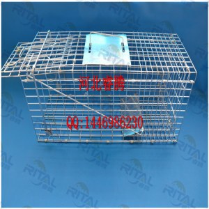 How to make a Live Animal Trap