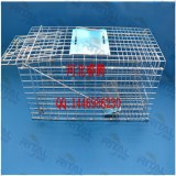 How to make a Live Animal Trap