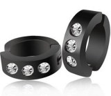 Titanium steel earrings with zircon