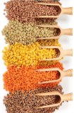 Lentils
