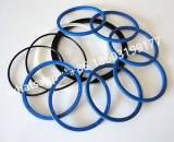 Dump Truck hydraulic cylinder seal kit of HYVA