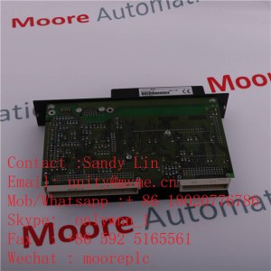 RITTAL SCM17EG1-R RGB/DVI SM 6450.160