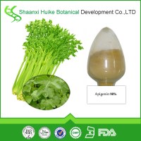 Natural Celery Seed Extract 98% apigenin powder supplier