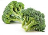 Broccoli,Tongrenxiang,China