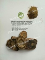 Rhubarb Root P.E. RHB-Anthraquinones 50% UV, Weight loss,Regulate gastrointestinal tract,