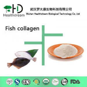 Fish Collagen