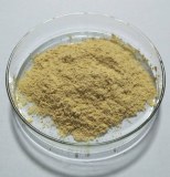 Ginseng Extract