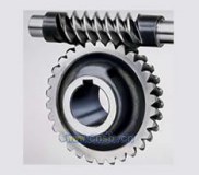 Factory Price Worm Gear/Auto Part