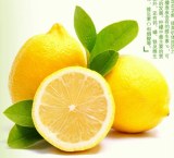 Fresh Lemon for sale