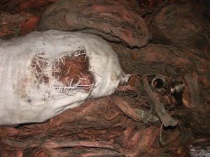 Câbles de cuivre dénudés