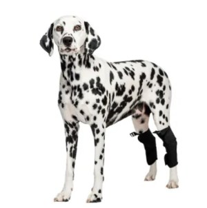 Dog Hock Support Brace