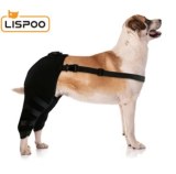 Dog Knee Support Brace