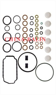 Gasket 096010-0551