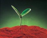 Sodium nitrophenolate