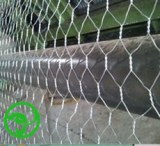 Selling gabion mesh for slope protection
