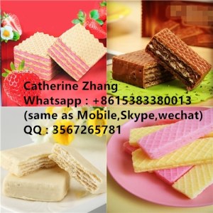 Wafer line，biscuit line，baking tunnel oven