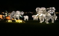 Elephant-shaped Lantern