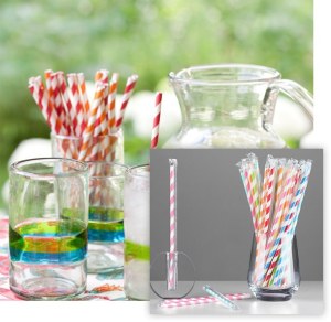 Biodegradable Tableware Products Manufacturer in China