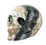 Ocean Jasper Skulls