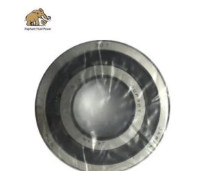 Sauer 90R55 Piston Pump Spare Parts NUP307 Bearing
