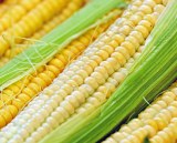 Resistant Dextrin(Soluble Corn Fiber)