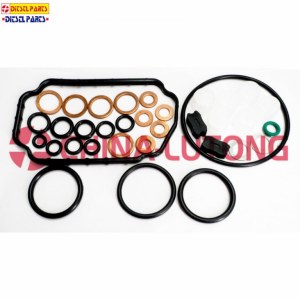 Diesel Fuel Engine Pump Parts Overhaul Kit 1 467 010 059 Rebuild Kits And Repair Kit Fo...