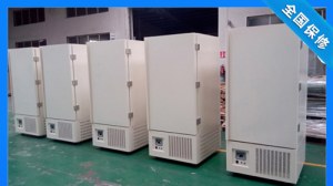 Low temperature storage box