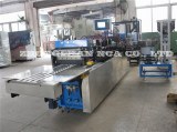 NCA300SJ Spout Bag Making Machine
