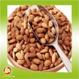 Écrous amandes