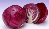 Purple Cabbage