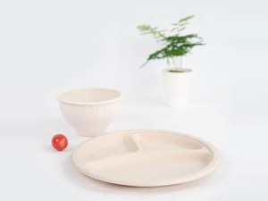Disposable Biodegradable Compostable Desinger Wholesale Paper Plates Price